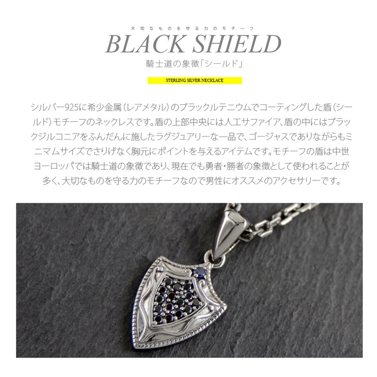 騎士道の象徴「シールド」/pe2160-ch