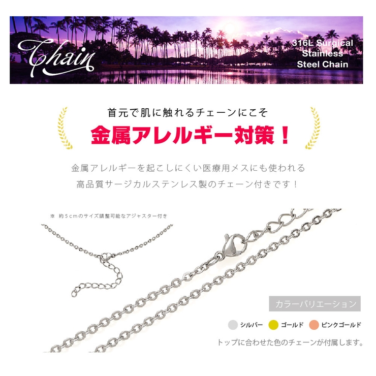 pe2202 シルバーアクセサリー 男女兼用 | 2PIECES  | 詳細画像11 