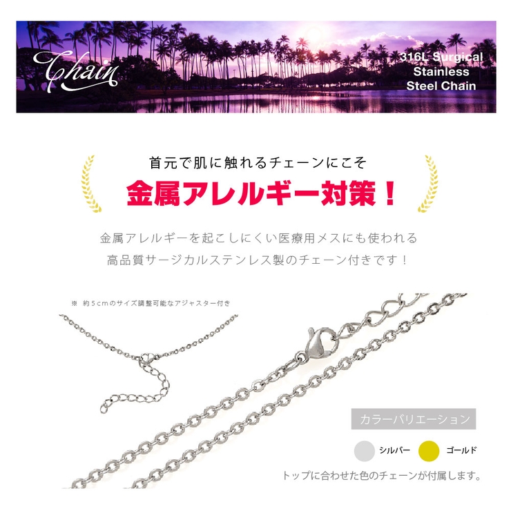 pe2217 シルバーアクセサリー ペア | 2PIECES  | 詳細画像14 