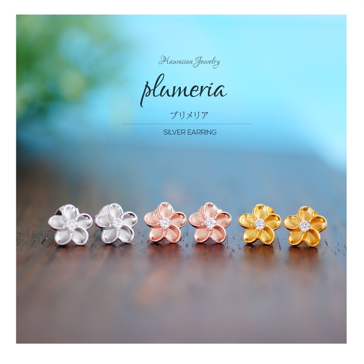 pi0523 シルバーアクセサリー レディース | 2PIECES  | 詳細画像3 