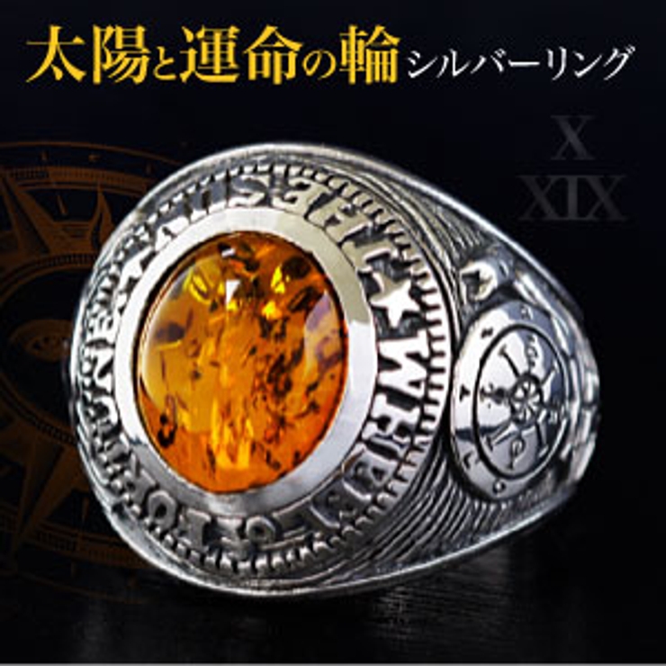最新人気 ◇r0636 チャンス到来！幸福なる前途を開け、太陽と運命の輪 マジック：ザ・ギャザリング