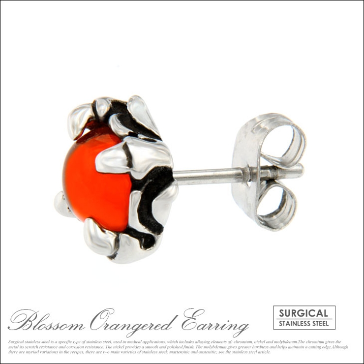 【ジュエリー アクセサリー】【ステンレス】【ピアス】◆ear00049 存在感あ… | 2PIECES | 詳細画像2 