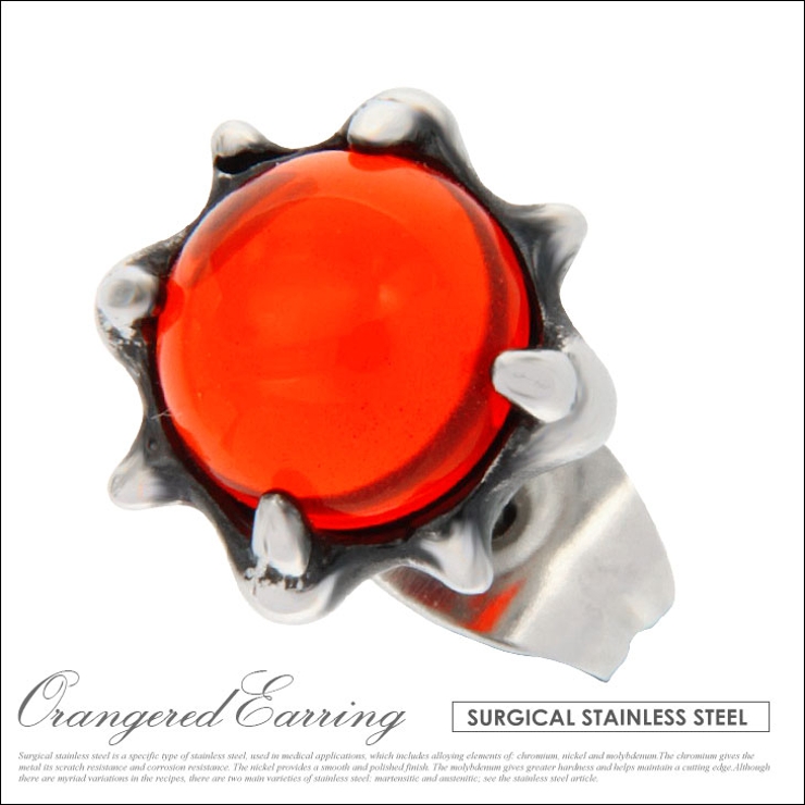 【ジュエリー アクセサリー】【ステンレス】【ピアス】◆ear00050 存在感あ… | 2PIECES | 詳細画像1 