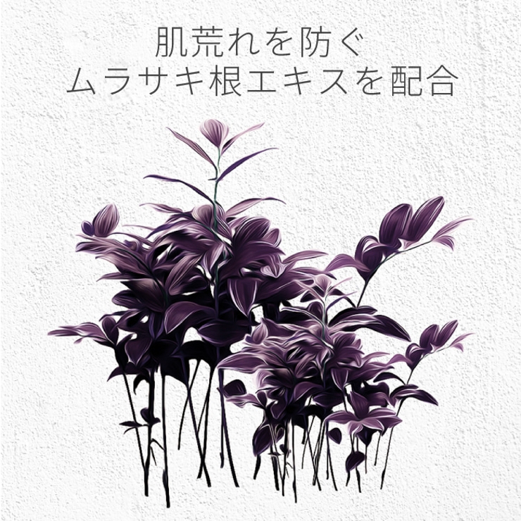 ムラサキ根エキスの整肌作用に着目した洗顔料