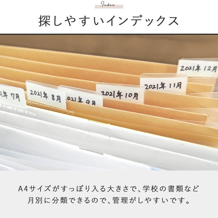 じゃばらファイルLサイズ　説明