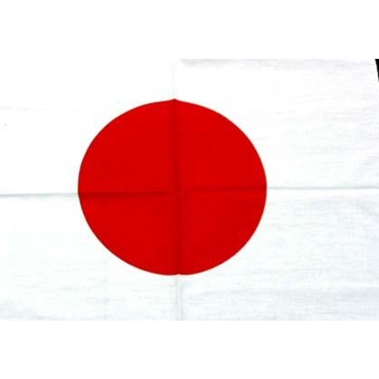Big Size 日本国旗 | T-LINK | 詳細画像3 