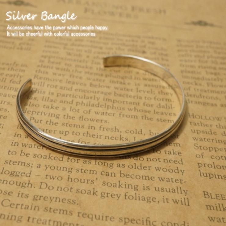 SILVER925 2 LINE BRACELET/シルバー/バングル SILVER925 2 LINE BRACELET/シルバー/バングル SILVER925 2 LINE
