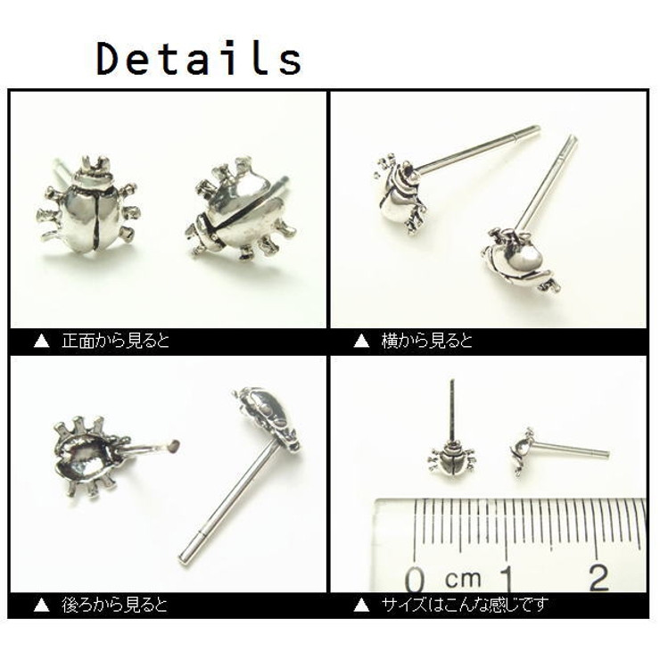 カナブンのようなてんとう虫のような♪可愛らしい6本足のムシ