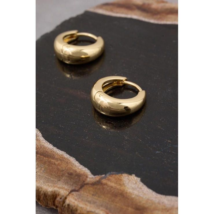 ステンレスプチフープピアス | AZUL BY MOUSSY | 詳細画像4 