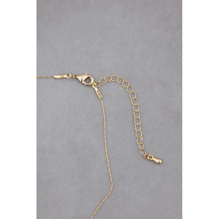 プチモチーフネックレス | AZUL BY MOUSSY | 詳細画像5 