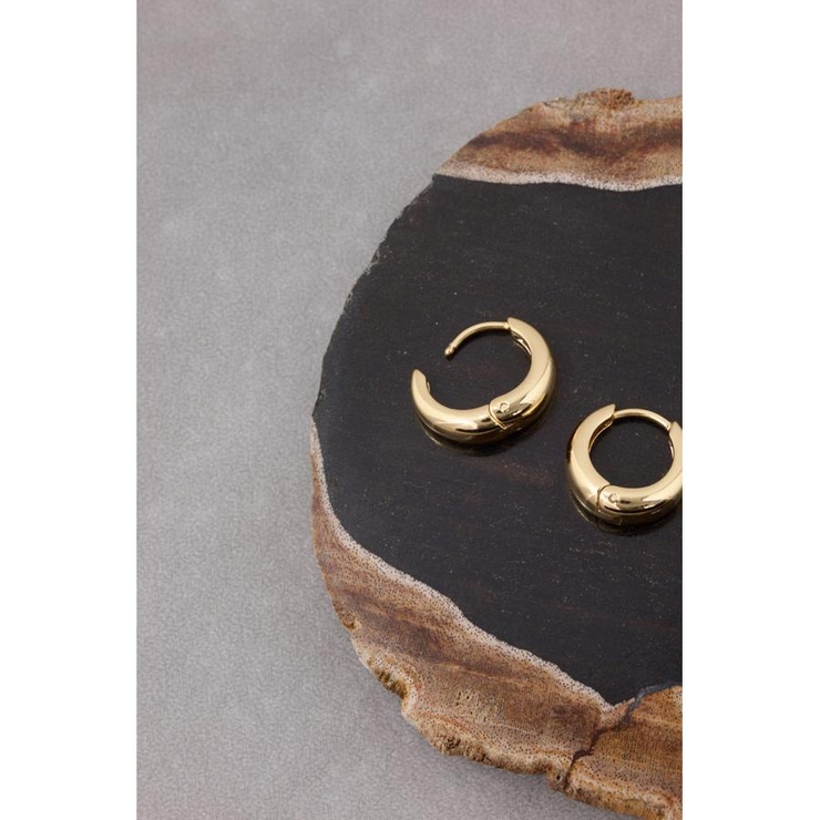 ステンレスプチフープピアス | AZUL BY MOUSSY | 詳細画像5 