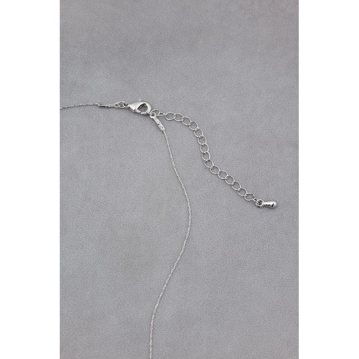 プチモチーフネックレス | AZUL BY MOUSSY | 詳細画像10 