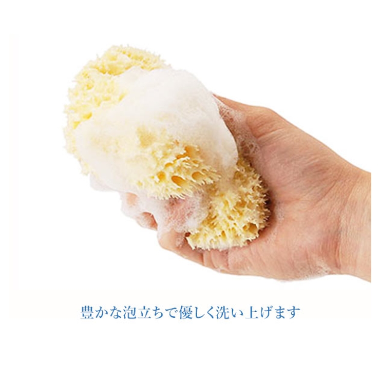 天然海綿ハニコム種 袋パッケージ | BACKYARD FAMILY | 詳細画像4 