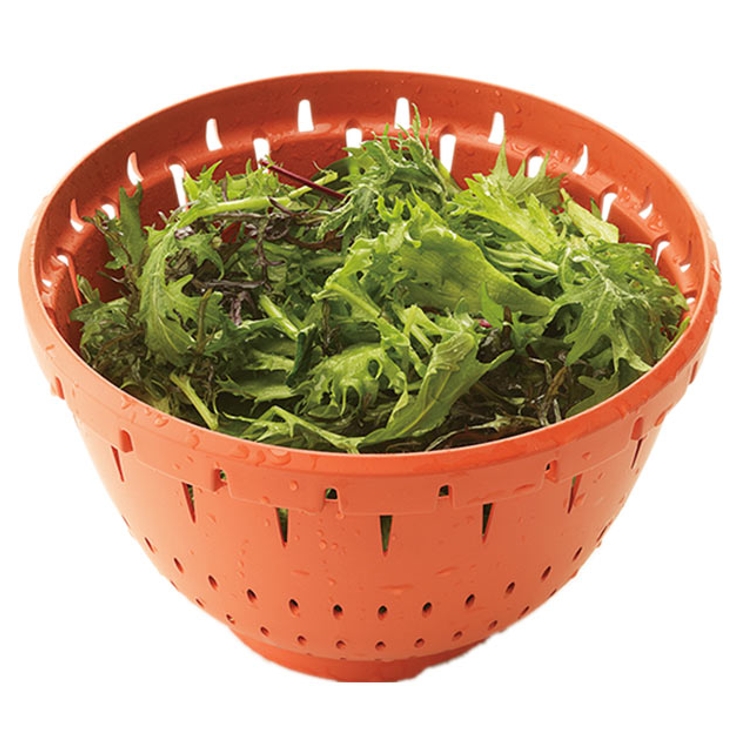 ボウル ザル Lサイズ | BACKYARD FAMILY | 詳細画像7 