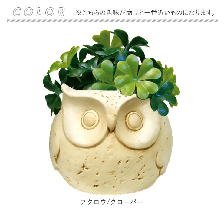 光触媒 インテリアグリーン アニマルポット | BACKYARD FAMILY | 詳細画像11 
