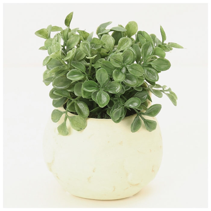 光触媒 インテリアグリーン アニマルポット | BACKYARD FAMILY | 詳細画像6 