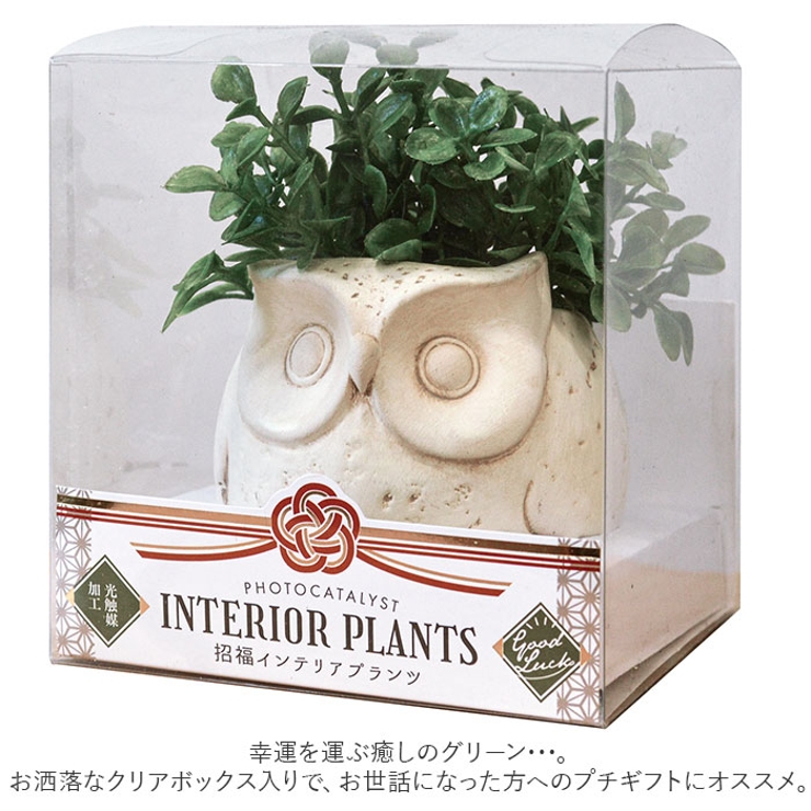 光触媒 インテリアグリーン アニマルポット | BACKYARD FAMILY | 詳細画像8 