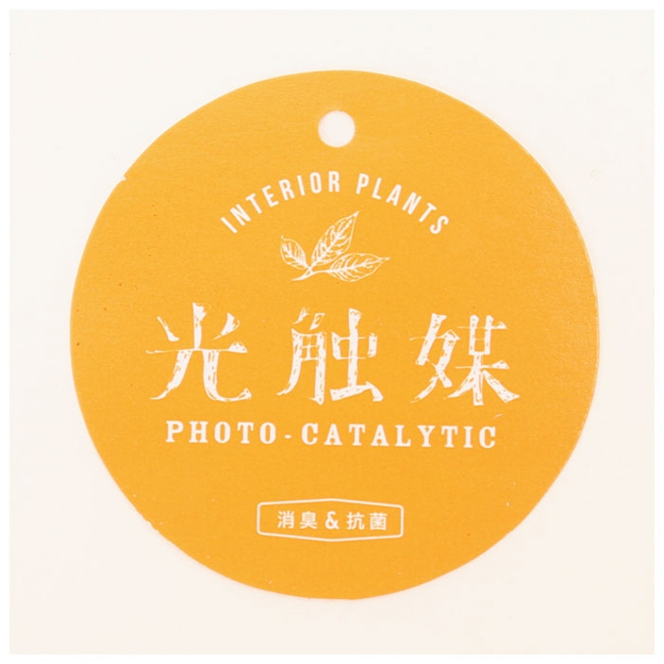 光触媒 インテリアグリーン アニマルポット | BACKYARD FAMILY | 詳細画像9 