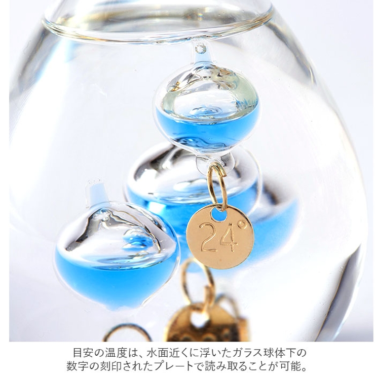 ガラスフロート 温度計 しずく SS | BACKYARD FAMILY | 詳細画像12 