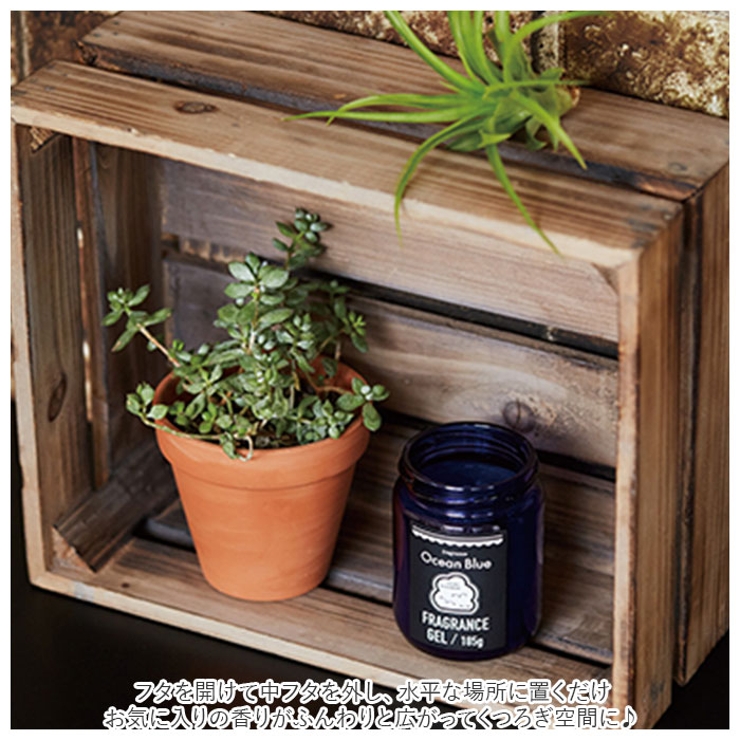 アロマエッセンス ブルーラベル フレグランスジェル | BACKYARD FAMILY | 詳細画像3 