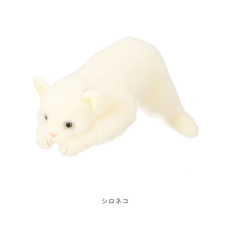 日本製 リアルキャット Lサイズ[品番：BCYW0016788]｜BACKYARD
