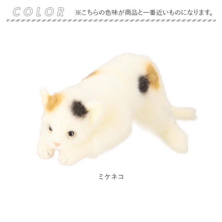 日本製 リアルキャット Lサイズ[品番：BCYW0016788]｜BACKYARD