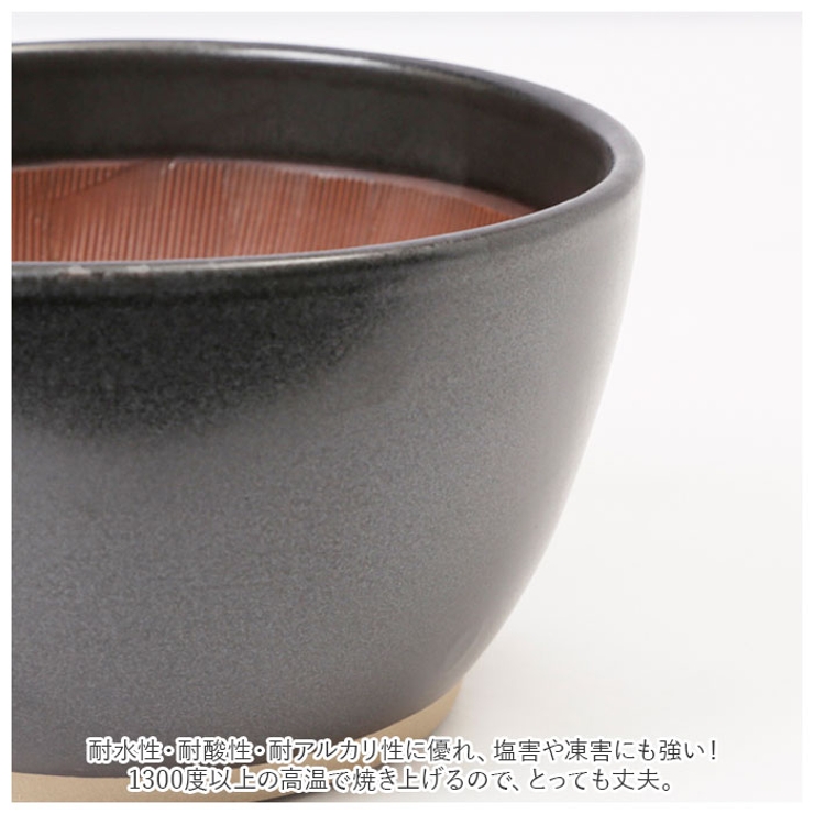 もとしげ