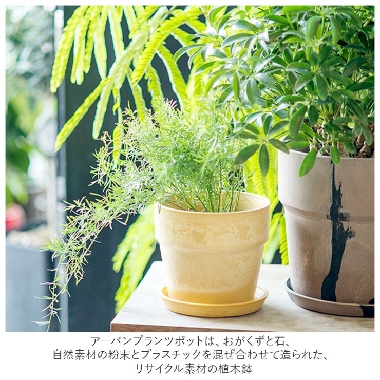 アーバンプランツポット マーブル ソリッド3号サイズ | BACKYARD FAMILY | 詳細画像3 