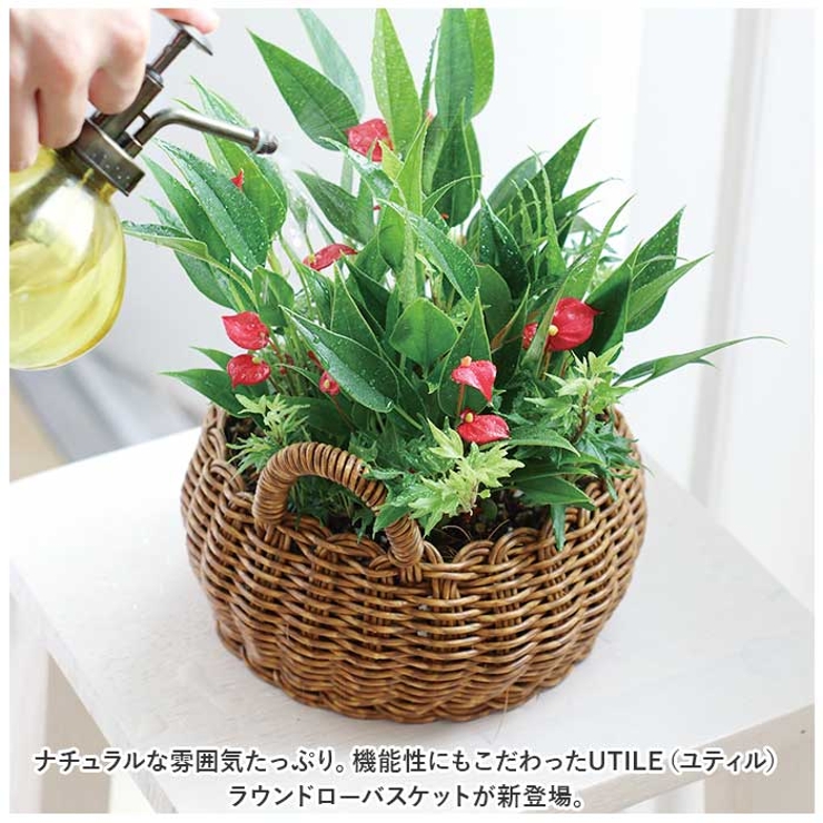 ユティル