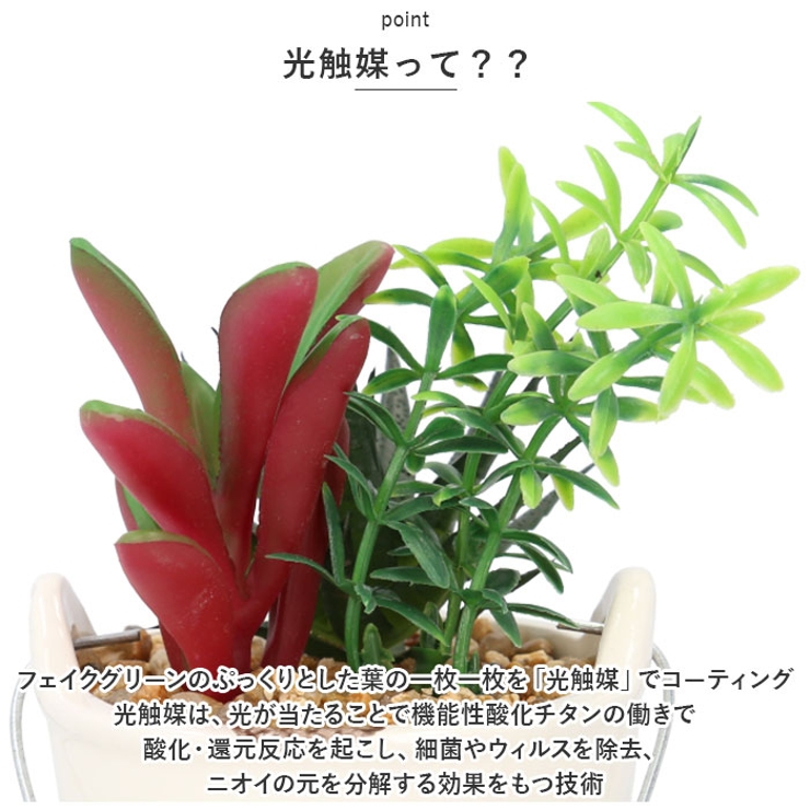光触媒 バケツ | BACKYARD FAMILY | 詳細画像6 