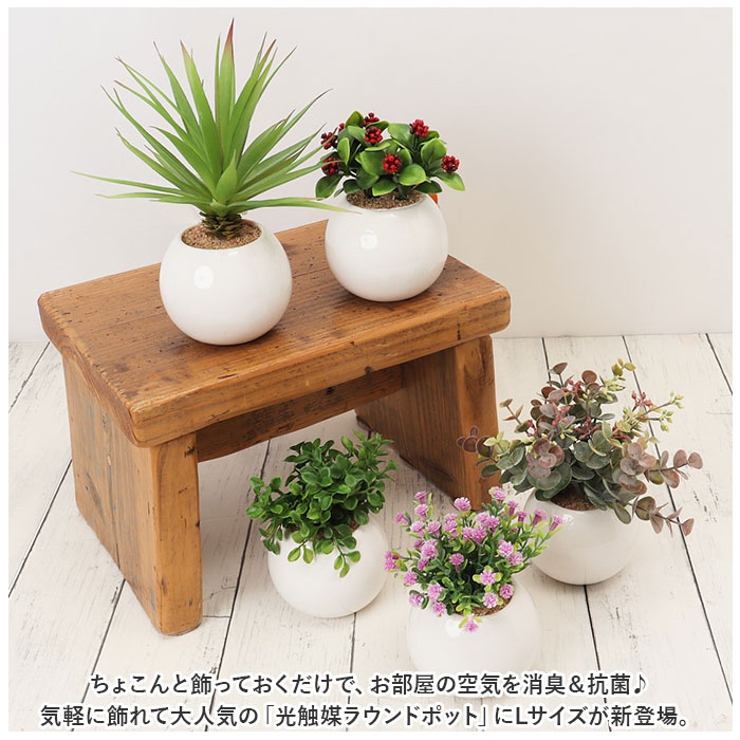 光触媒 ラウンドポットL | BACKYARD FAMILY | 詳細画像2 