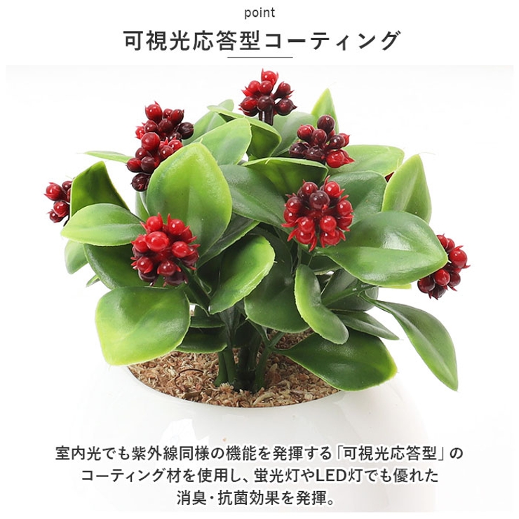 光触媒 ラウンドポットL | BACKYARD FAMILY | 詳細画像7 