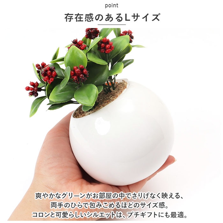 光触媒 ラウンドポットL | BACKYARD FAMILY | 詳細画像9 