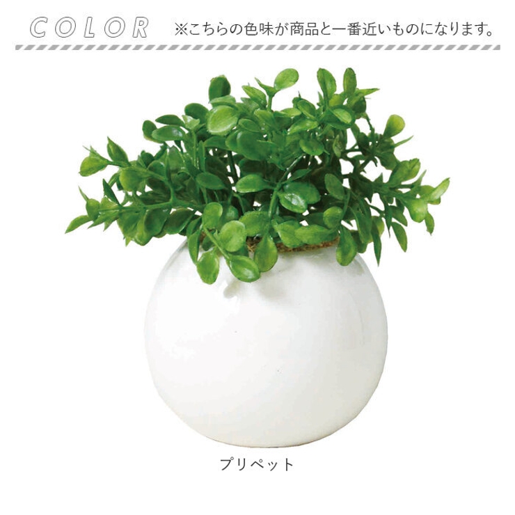 光触媒 ラウンドポットL | BACKYARD FAMILY | 詳細画像10 