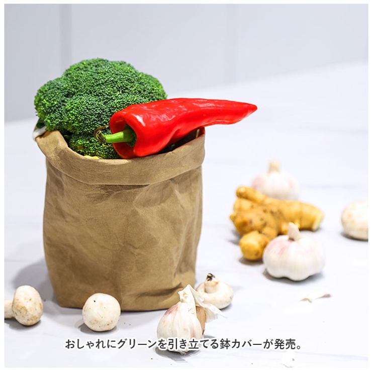 鉢カバー naksys | BACKYARD FAMILY | 詳細画像2 