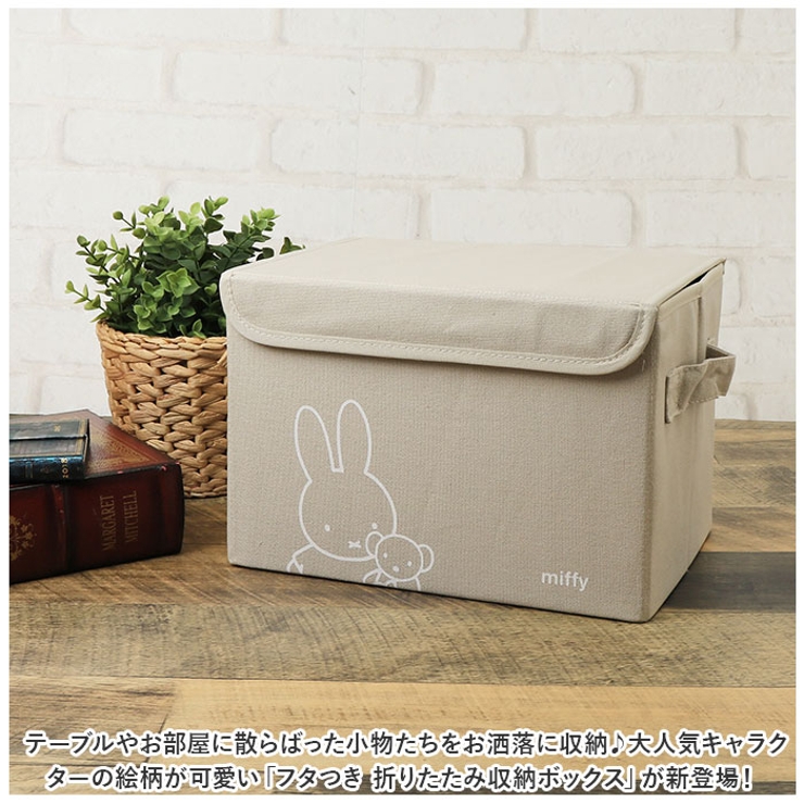 IRIS OHYAMA コンテナボックス フタ付き 2個セット 収納ボックス