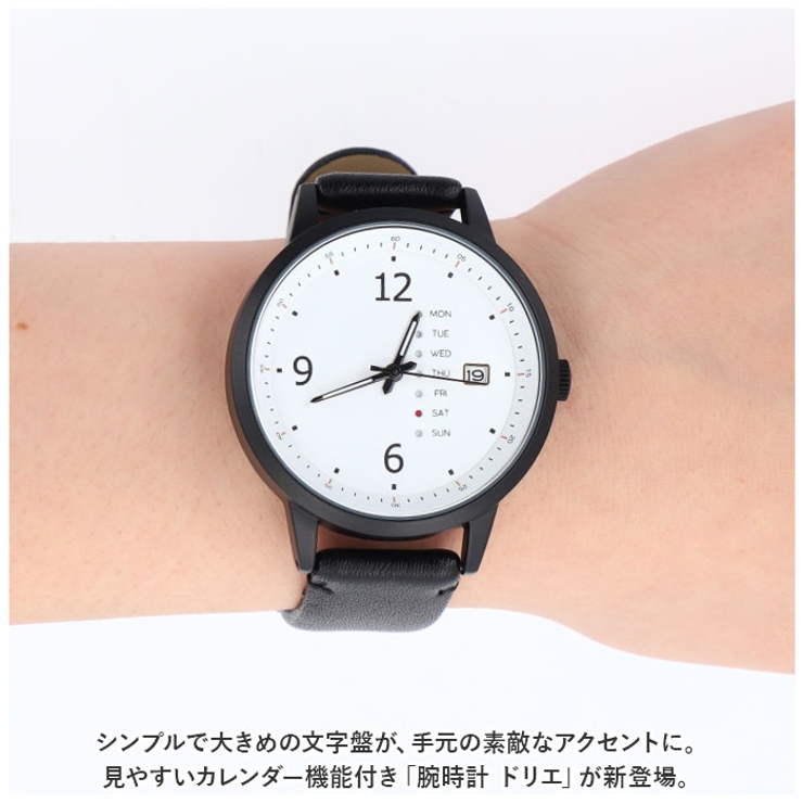 フィールドワーク