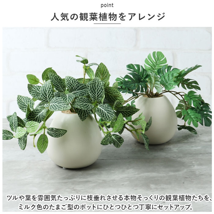 光触媒