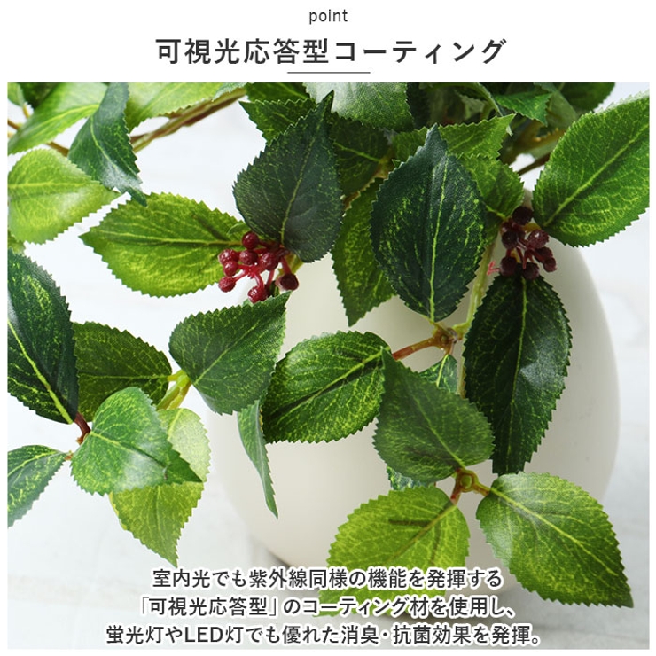 光触媒