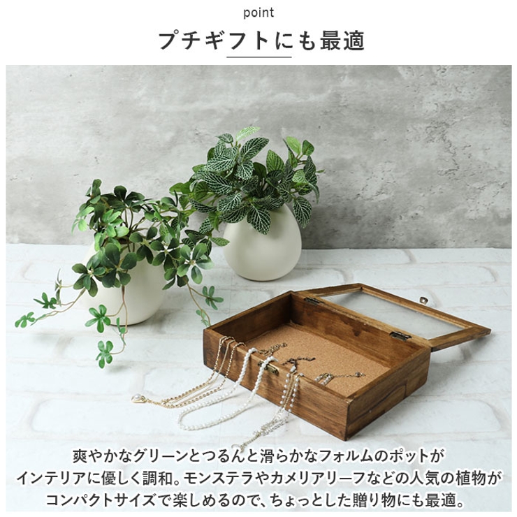光触媒