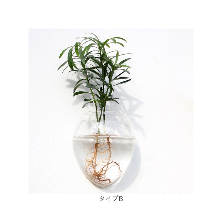 壁掛け花瓶 najshb0700[品番：BCYW0024786]｜BACKYARD FAMILY