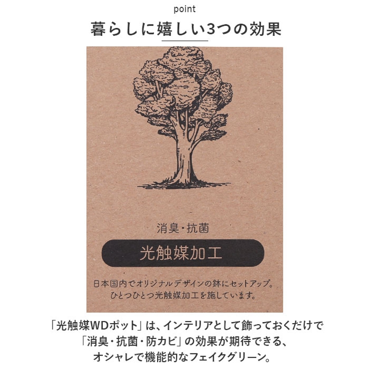光触媒 インテリアグリーン WDポット ラウンド | BACKYARD FAMILY | 詳細画像4 