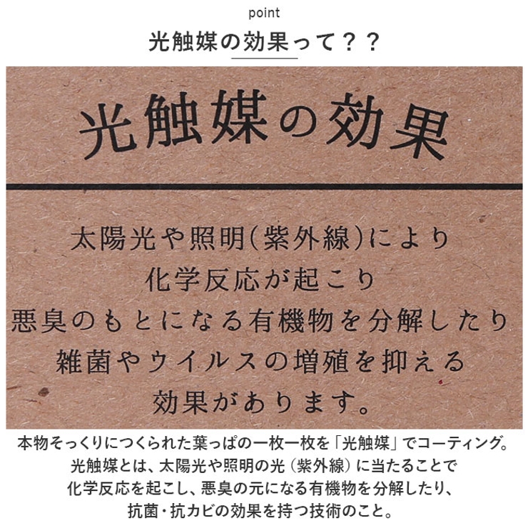 光触媒 インテリアグリーン WDポット ラウンド | BACKYARD FAMILY | 詳細画像5 