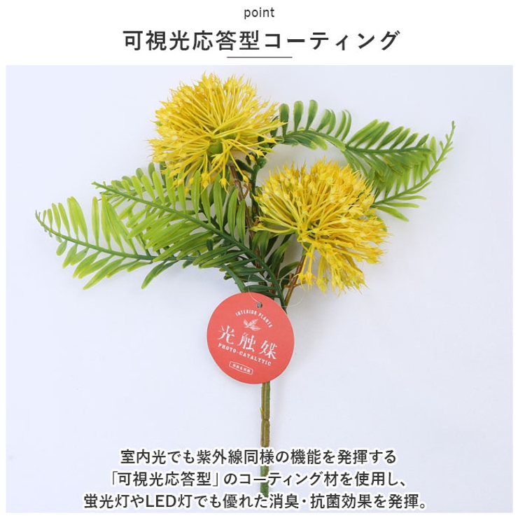 光触媒 インテリアグリーン WDポット ラウンド | BACKYARD FAMILY | 詳細画像6 