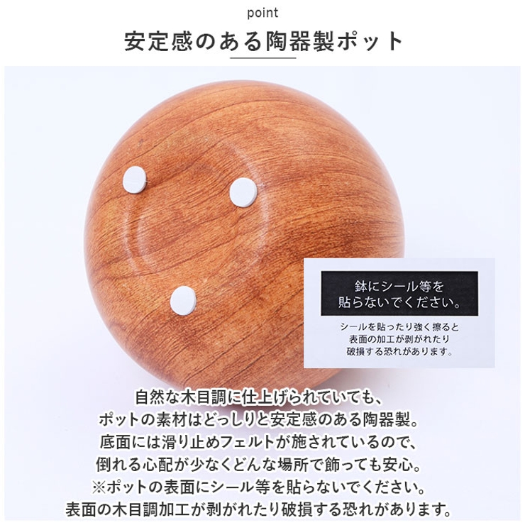 光触媒 インテリアグリーン WDポット ラウンド | BACKYARD FAMILY | 詳細画像7 