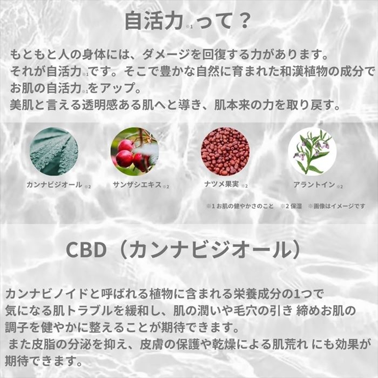 導入化粧水