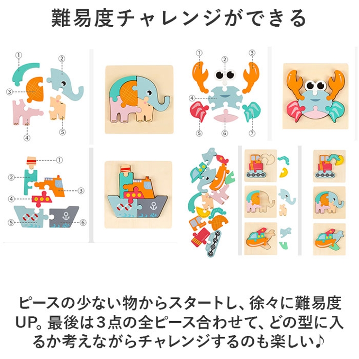 型はめパズル 立体パズル 3点セット ykyibao6132s3[品番：BCYW0026348]｜BACKYARD  FAMILY（バックヤードファミリー）のファッション通販｜SHOPLIST（ショップリスト）