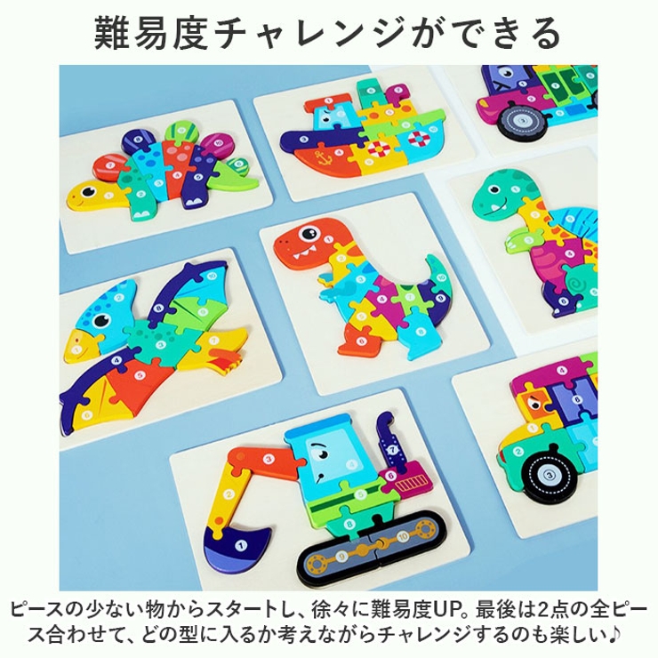 型はめパズル 立体パズル 2点セット ykyibao7087s2[品番