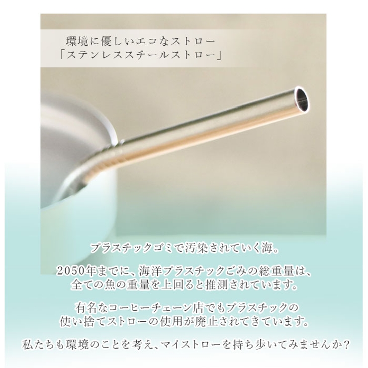 ROCCO ステンレス スチール ストロー 3pcs | BACKYARD FAMILY | 詳細画像3 