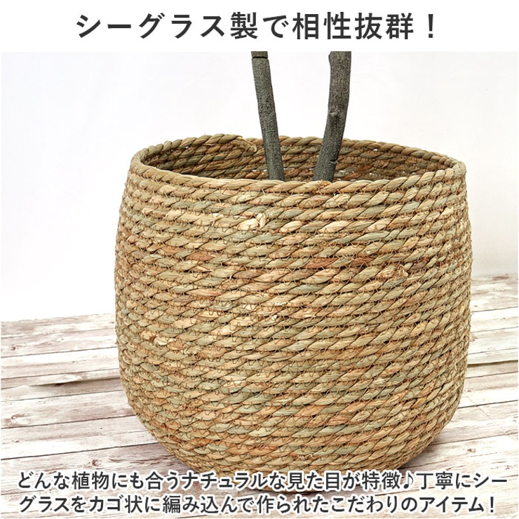 シーグラス プランターカバー | BACKYARD FAMILY | 詳細画像3 